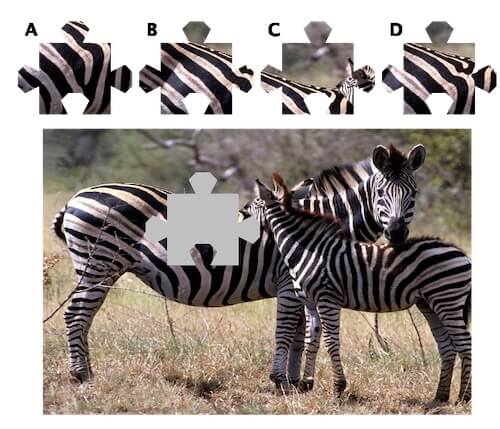 Bildpuzzle 1: Welche Puzzleteil passt an die graue Stelle?